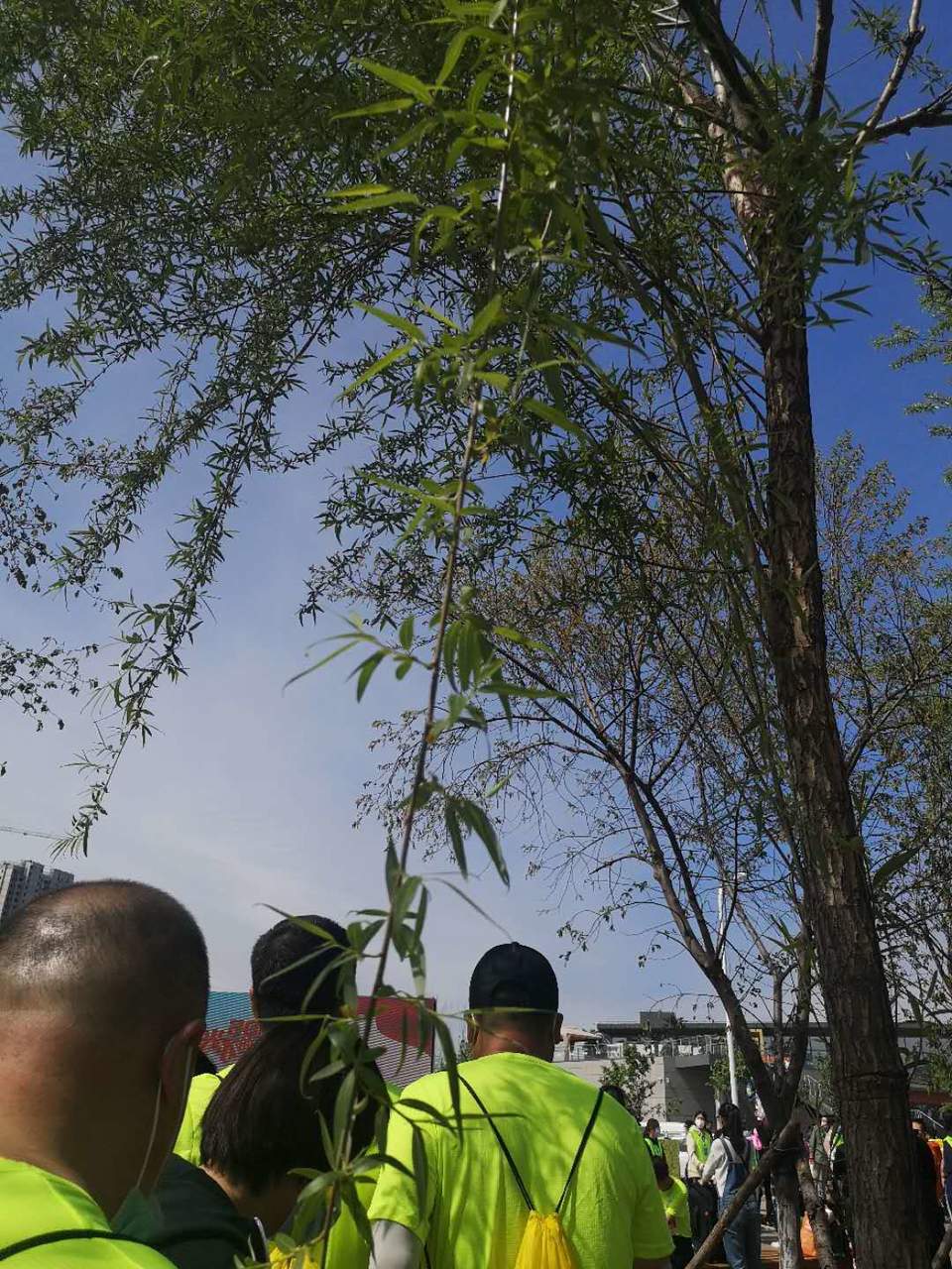 t_UW2adZZkl8ZepU_lxDJhr8s3pH6xM3s3aIkiDYphCDPJLvJigXELJBZy4b28sM