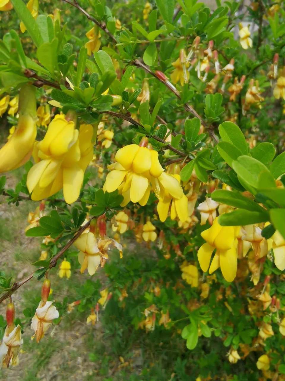 M8GomTnmumXnXQi7CWeyNoJefwo8Vhapge4-1qWZPIASeYnPHu6ROrfGKJX6DMzJ