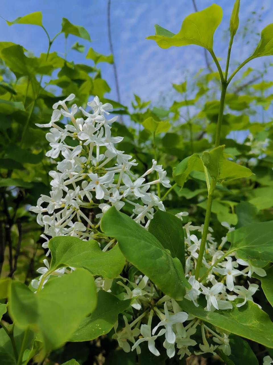 6bObVRXRC4BYpWTwhRc9cvwkzz8L_egPw5tNZ0G_AQ8gGGS4jmC6PdGMx4JUCfXy