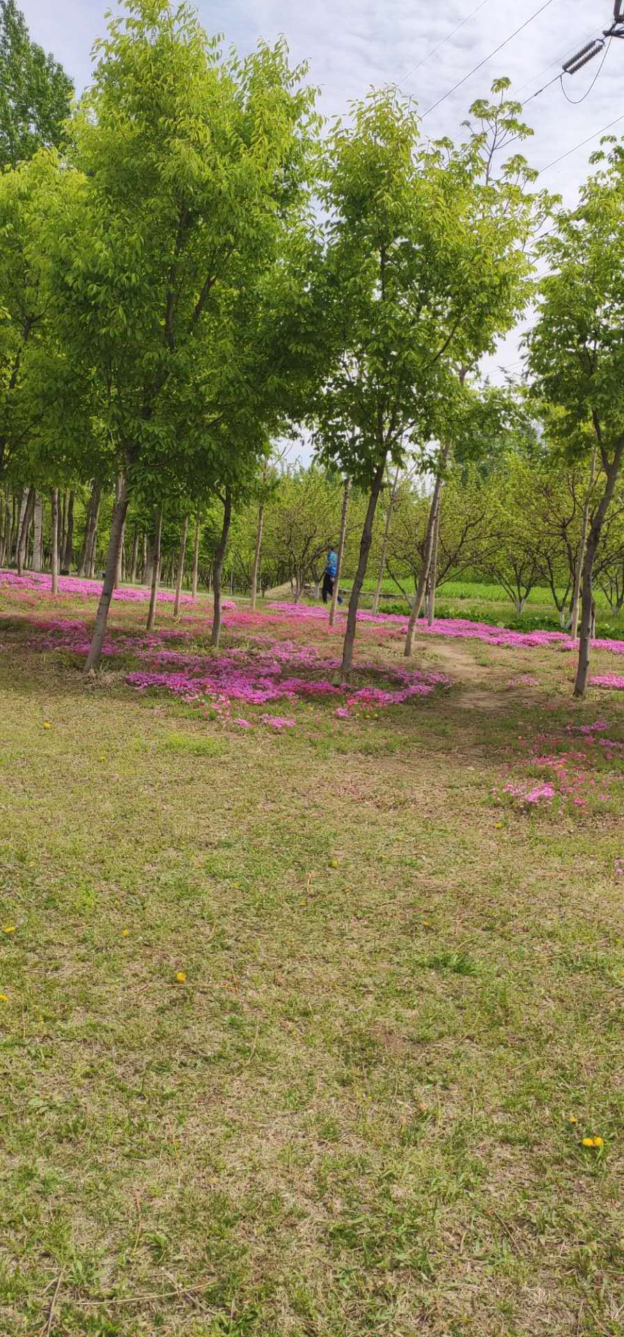 e82gjXDzO1A9bo6yfNkpxhDHD5Z2A049oVQgRg3FkmmYmdgTo2T2h_9PpbpEzbk8