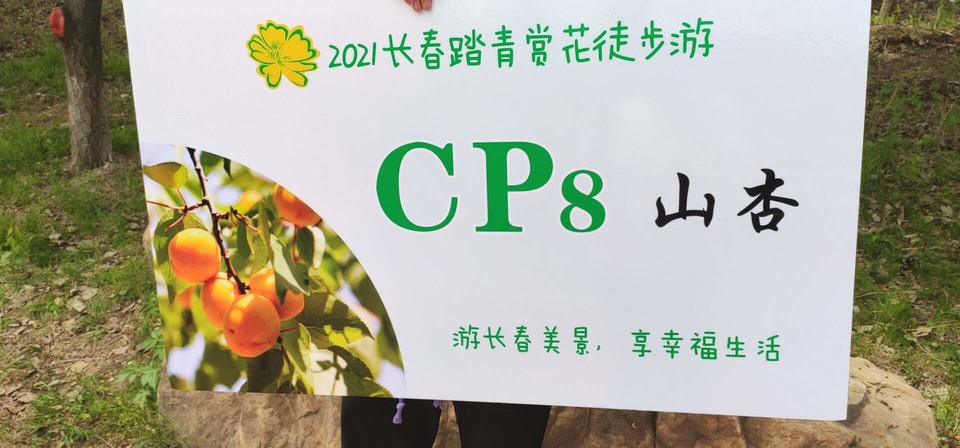 Me_e_wPZuJyXOP6SFnBnE4gCu_tAAAcPITIbXxMulRsPzijeRjdSUUs_6xUXFuqs