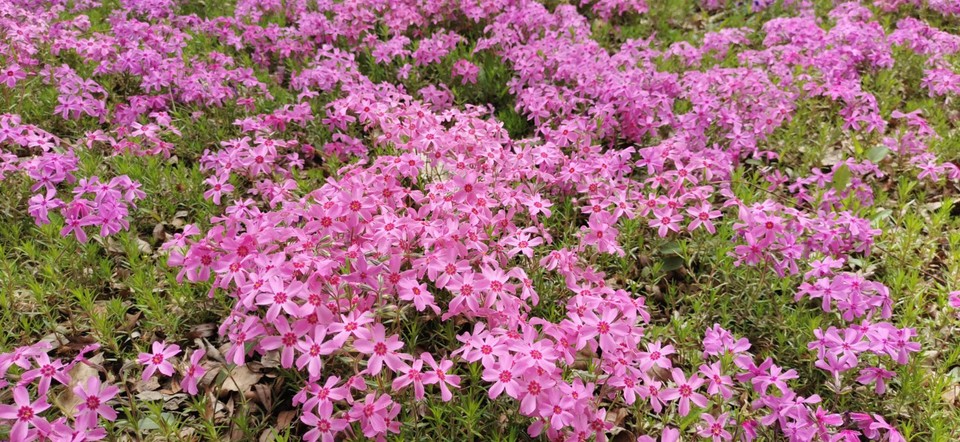 gSsVGrZXIuBKgcEojGEQRiARMhI5Dgg7c-3goT77wAzlTBt1pJWVrqndzOKaZ6PN