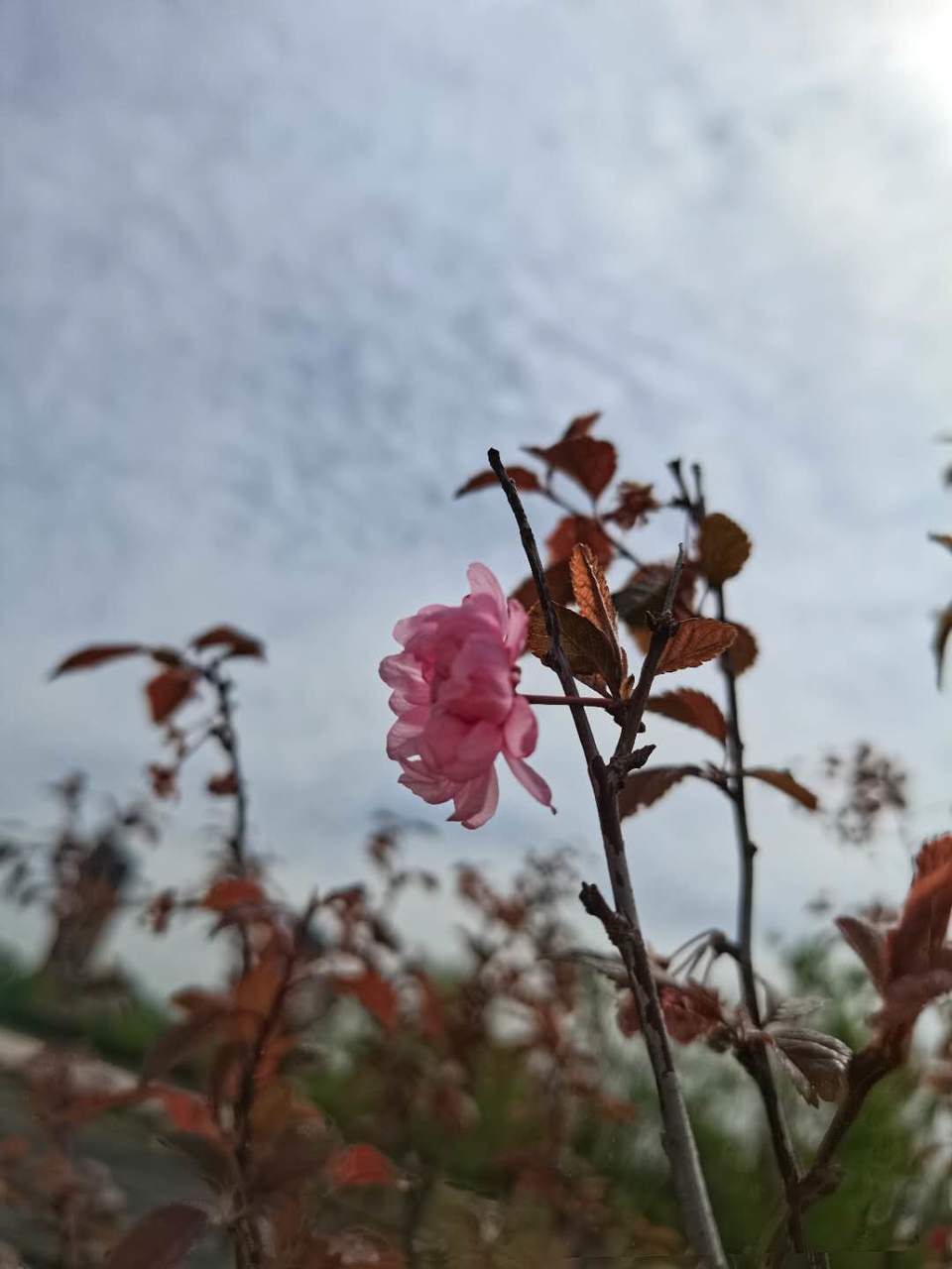 uBGgLNx6Ob-gHqekHw0B9WMkuoYvTk0Qdpu9IisqlnyqSKYTuOyadOC1VB_s5dPQ