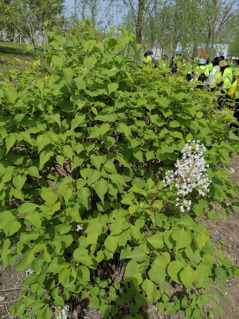 XliOYf9869f_7kurMboIMAdrGeCpYb5F3xk42Rg6JbyM7zX_hjoO6MfGyiV-DpBj