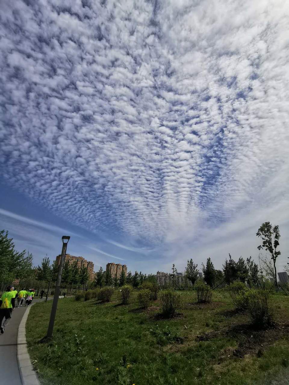 lHFRBPanQMJHas40oDXzAEMrIsyemHSY9L1vbGV-A6zxr2zMG31XB4eSDyN0EunN