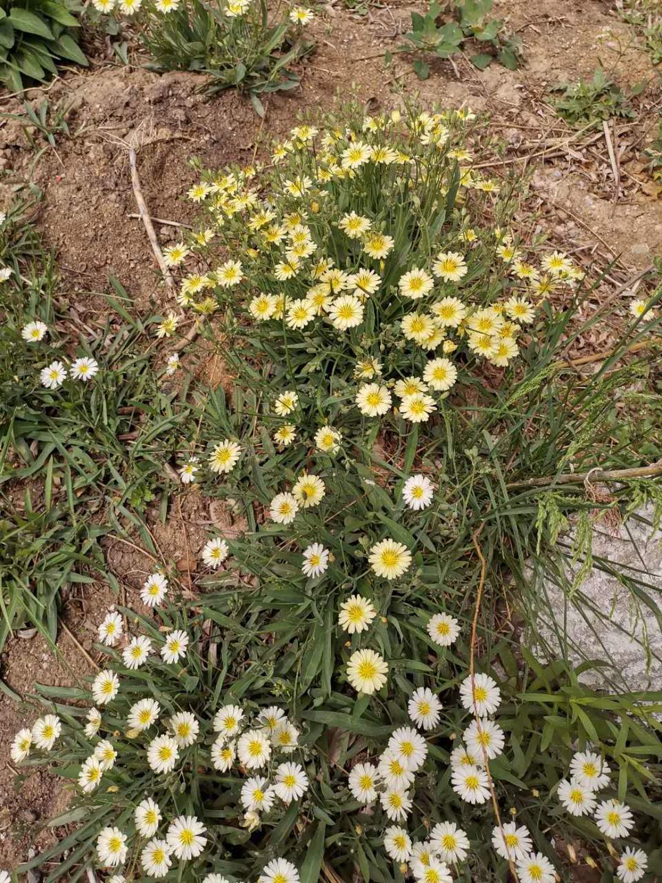 B36DaA0CqdyJKTRbhmtAOkKcOPrWEtSxfAErcMQt_jEW_szxQgRCh1PzHgWlF74-