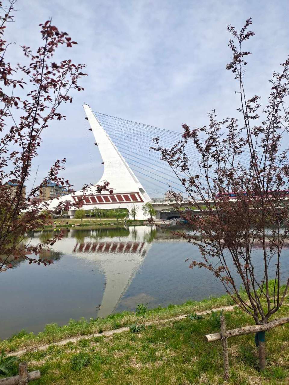 IfI91_d5rp-UZXZMXqbpEa2EBXB9M_gnN3GtoWMI_9rVBCYxIcOtPdRHMpuf81T8