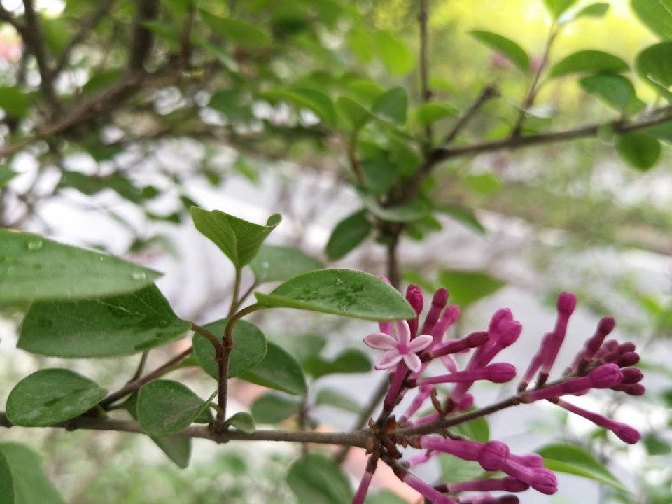 -9bPAuMwSjKC7kloFgEwuZs2vqR8tEOeWS2x2FBg9WITDsjlLwQnvoC1O6WhtFLk