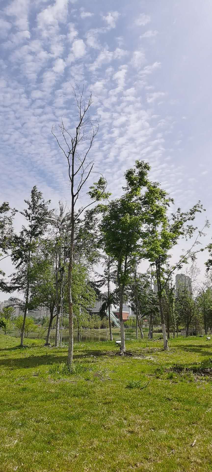 qD7YLhhQvXJi4LUDzypVOP3ad7NBqeFAy-rve_pDZvxIRXncIVuB6zeavtsHCKUq