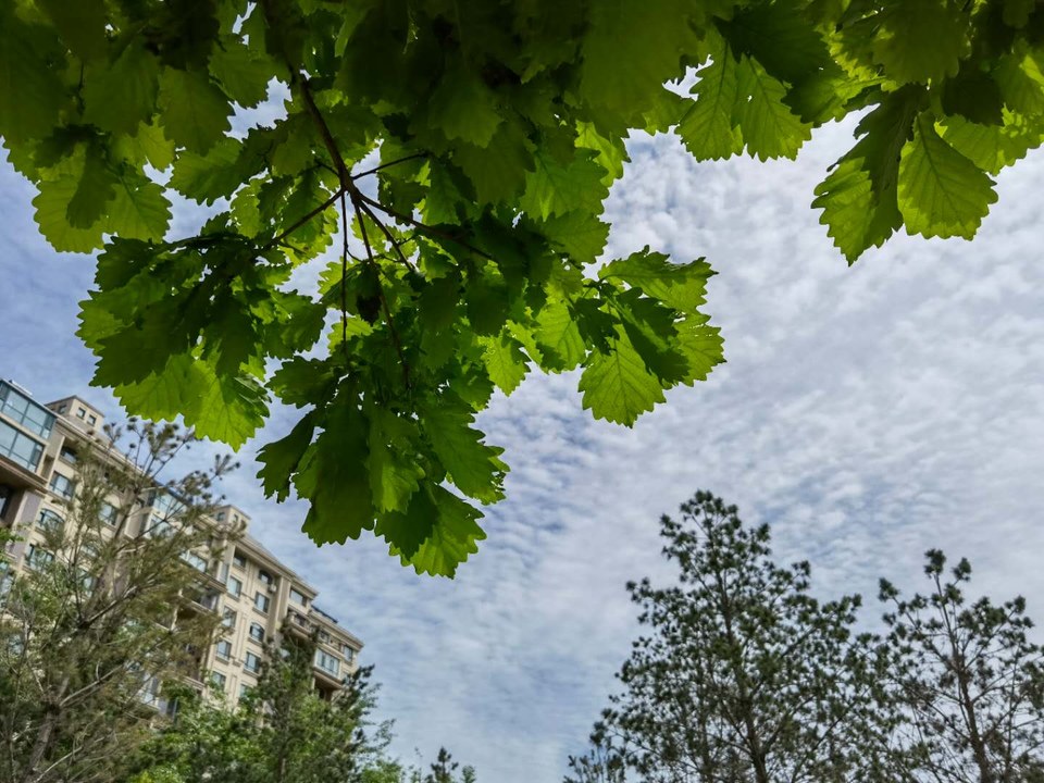 RRNBkx9aO43B1RjlQODS2qK4mHW96FUIOe1nB8d6QQem_uio6Y4Na3aIVRnpeFVJ