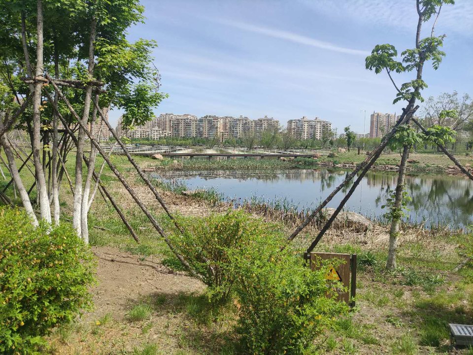 PDfq1-lT3Q4qdUVlZjijKQwXchlu3P62KvpWwoKVgY91JF1x01tjK-Za2R6AMMvE