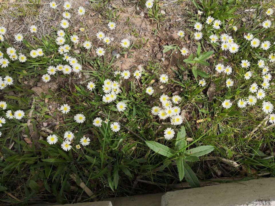 d6BfFA7b6zrjzUdKssaDzSFiAhjmtt2U6G1GitkLaZXaVTp4iudeTUd7Af1lYARr