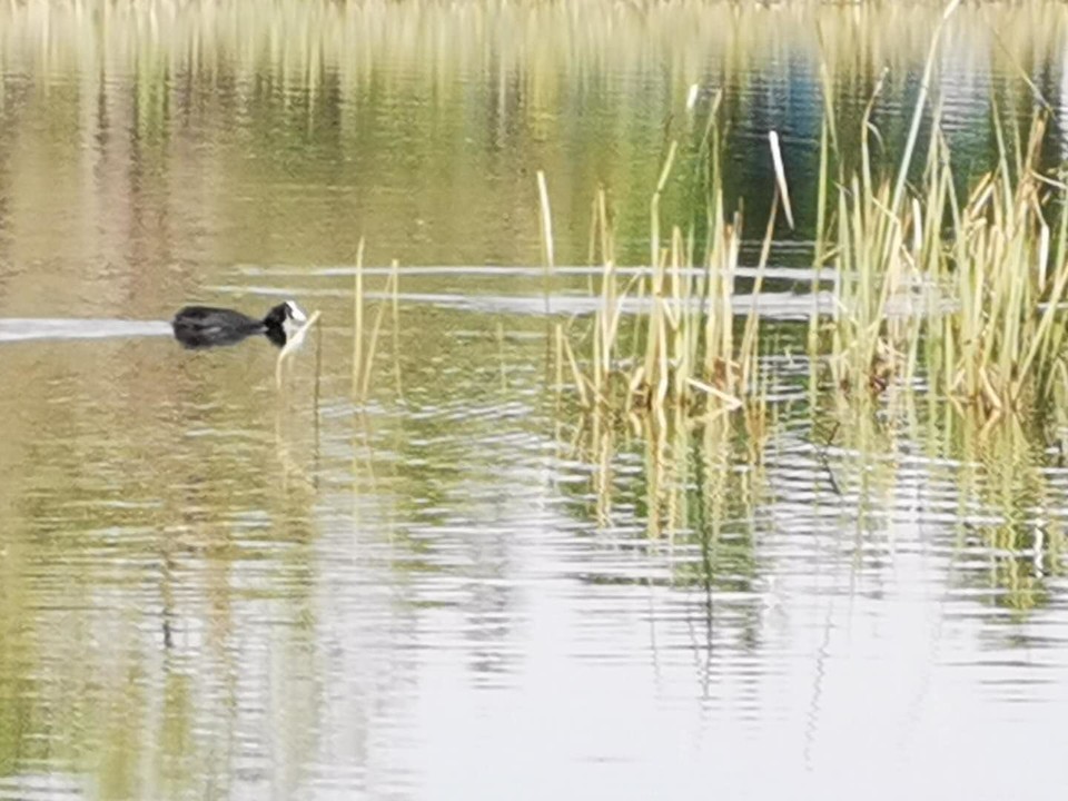 n4XddiEWFR3_oEqbfsekENJ3VOqG3ec-X7cvaexDCcGsNePe6eBJXZet_YwHlZXq