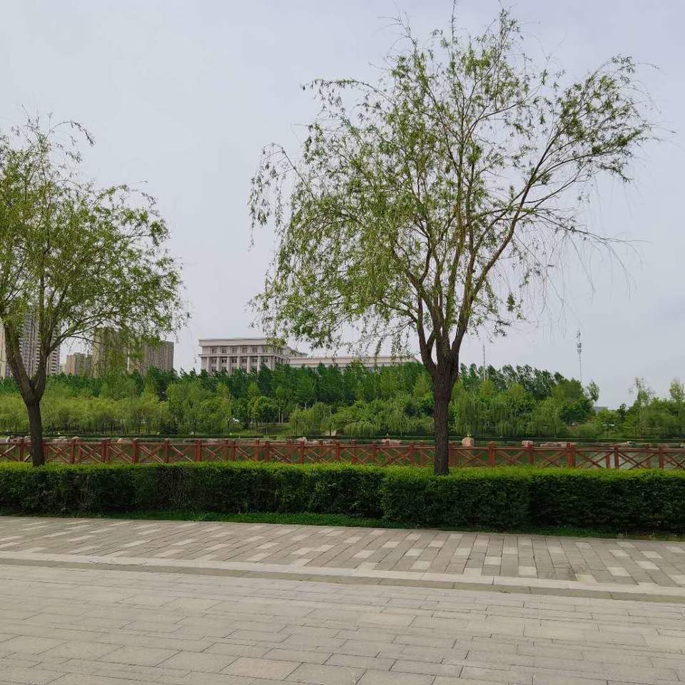 tuWVl2sQ6gfK-wAe3FYjUe6iYWlLdoh-1d6CT3vSFbziM4yBoRPjNZ7N3_2U2yYn