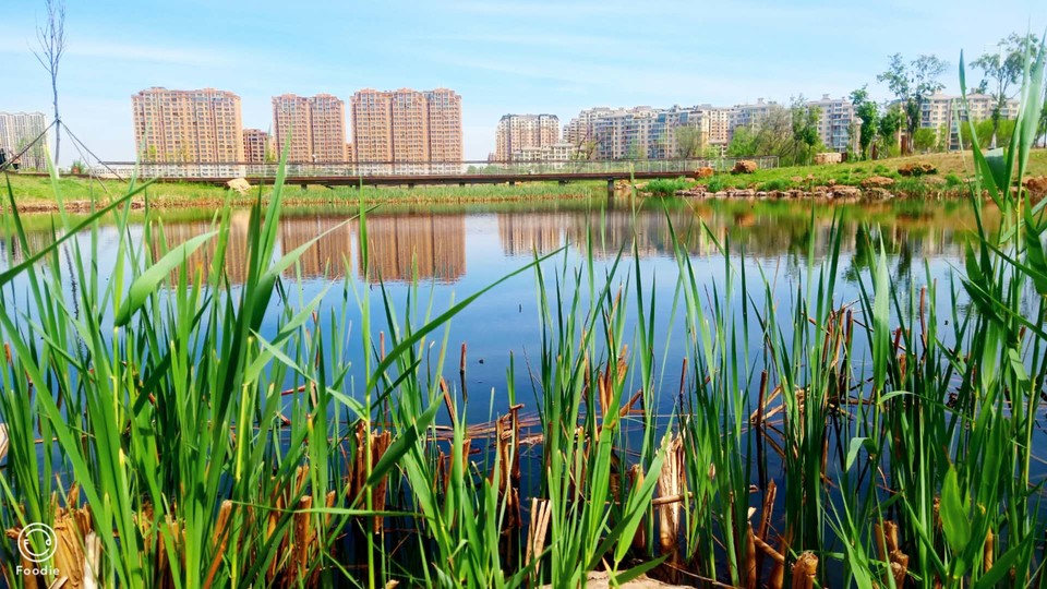 I7jPcLu94Fc-cvXHUf8N95LbkoQ2HLbCYC0uaTlSvvVsSLEBAasBC9R2_r0DmzEw