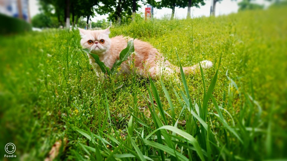 kil6xt6Gvzotg3QDlXbNUjf83eAS_yG_VE3NAaQFHzUS-P2zF9pjXa_Q9j-QlP2y