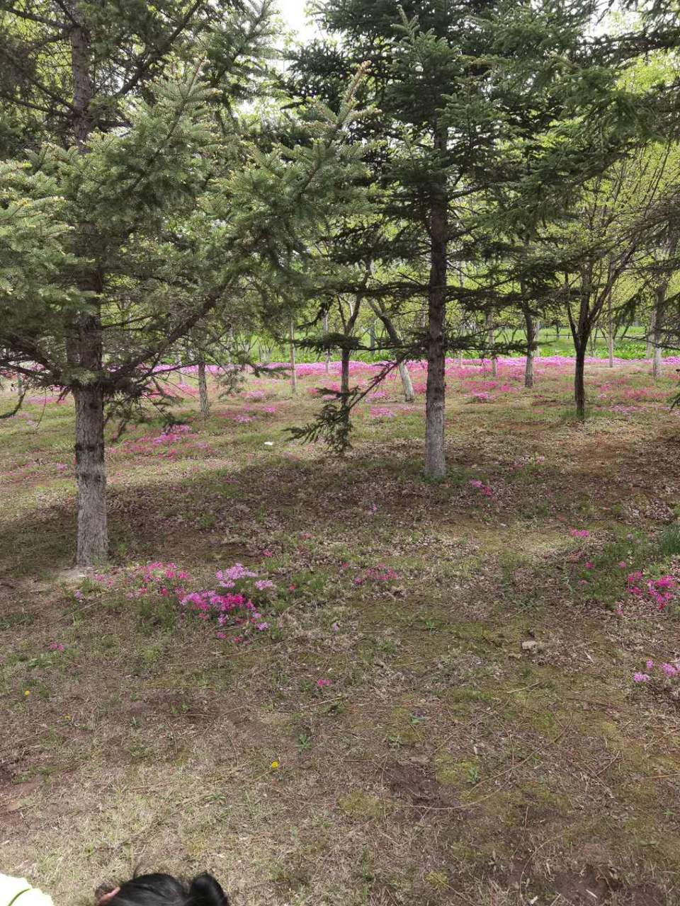 GdJFZXSWnW_0U8JCyxwGaI4GCxFGooVwWYihx6iakYbCYvuxKaeTkTxmMFouLReV