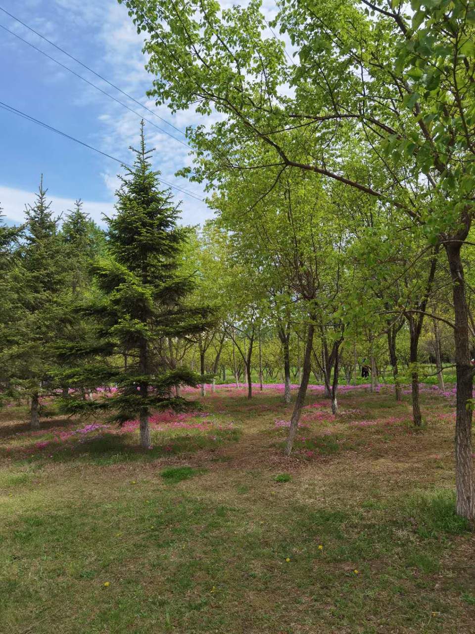 cy644xkuuPx6IkOQNP7qvKycYKXCuQfXpQHRhDv6lYfLkiU28P96i30elKt0OPBs