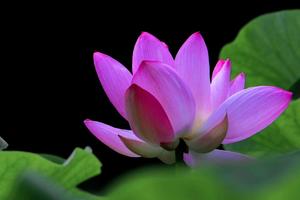 【游·赛事】2020年9月20日长春环伊赛！