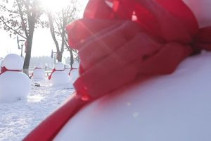 【游·视频】2022长春冰雪马拉松