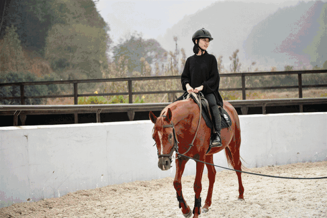 壁纸 动物 狗 狗狗 马 骑马 640_426 gif 动态图 动图