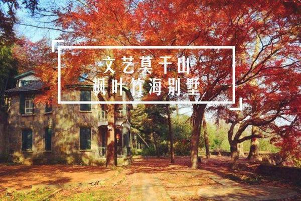 「莫干红叶」11.4 徒步莫干山蒋公道，赏满山红枫，层林尽染 | 杭州周边游