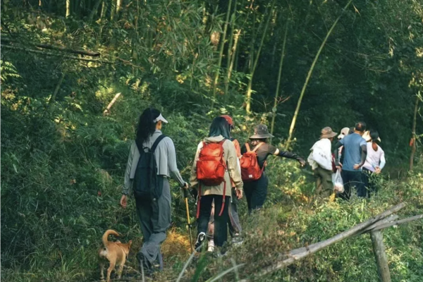 4.13 章里古道，春日踏青，打卡安吉小众爬山线路，看飞流悬瀑，品谷岸咖啡～