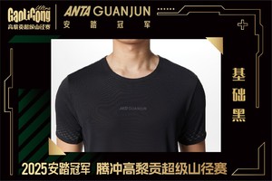 安踏冠军高黎贡联名款短袖针织衫男款