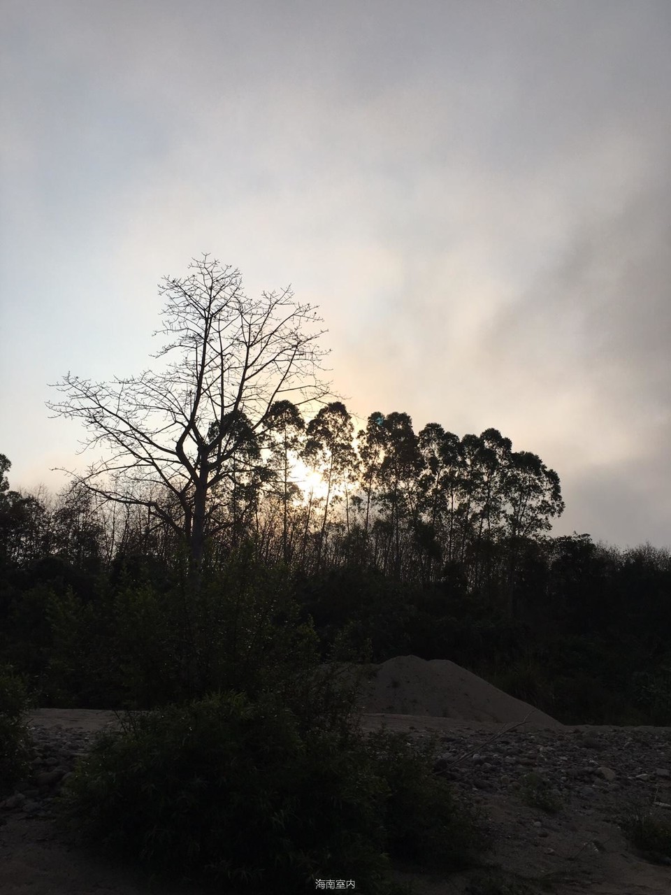 866451B9-A4EC-40B7-9E84-0A736E677762