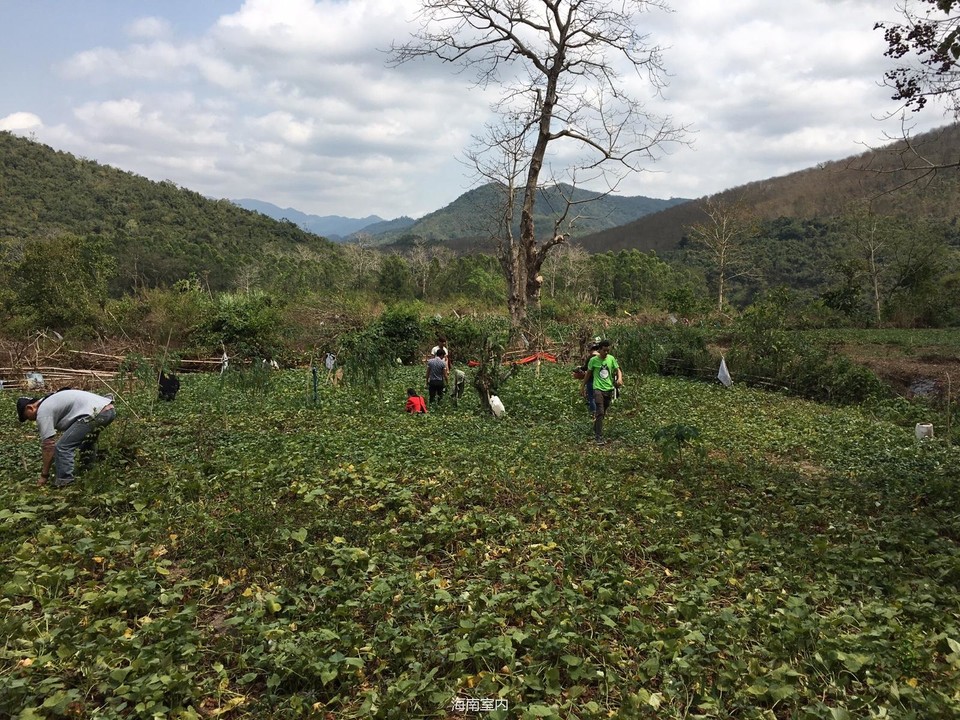 DC4655DE-AF01-4774-92C6-9F5121927BFB