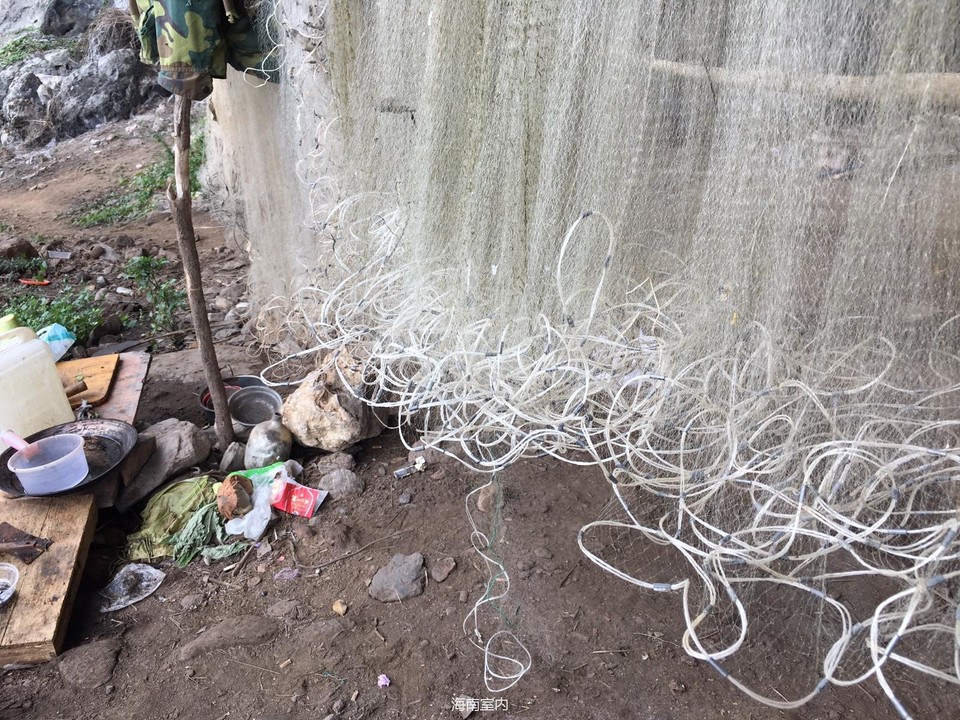 C5D59A7B-27B2-4F77-915D-79F81BCF1A41