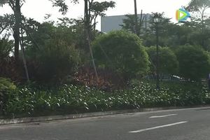 陈通-我是设计师【设计咕咕叽】