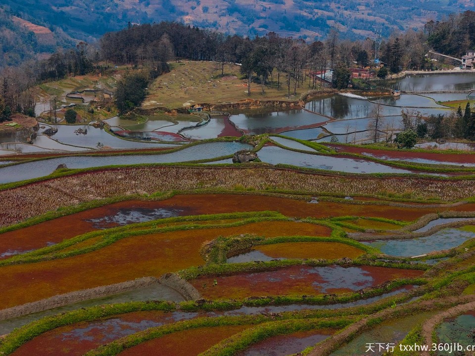 Image_120402408205838