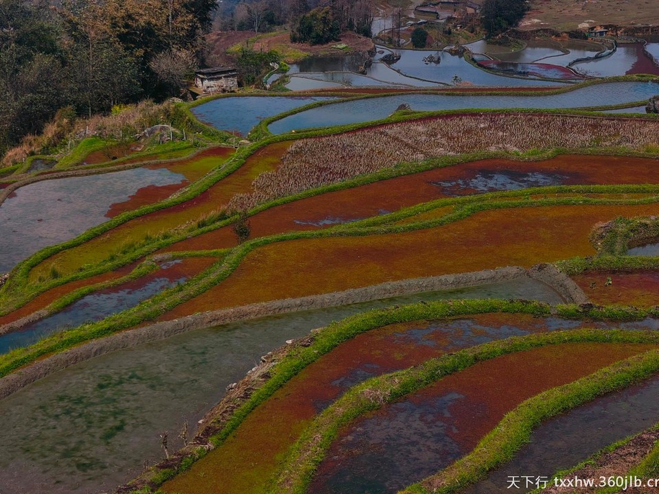 Image_120397500993028