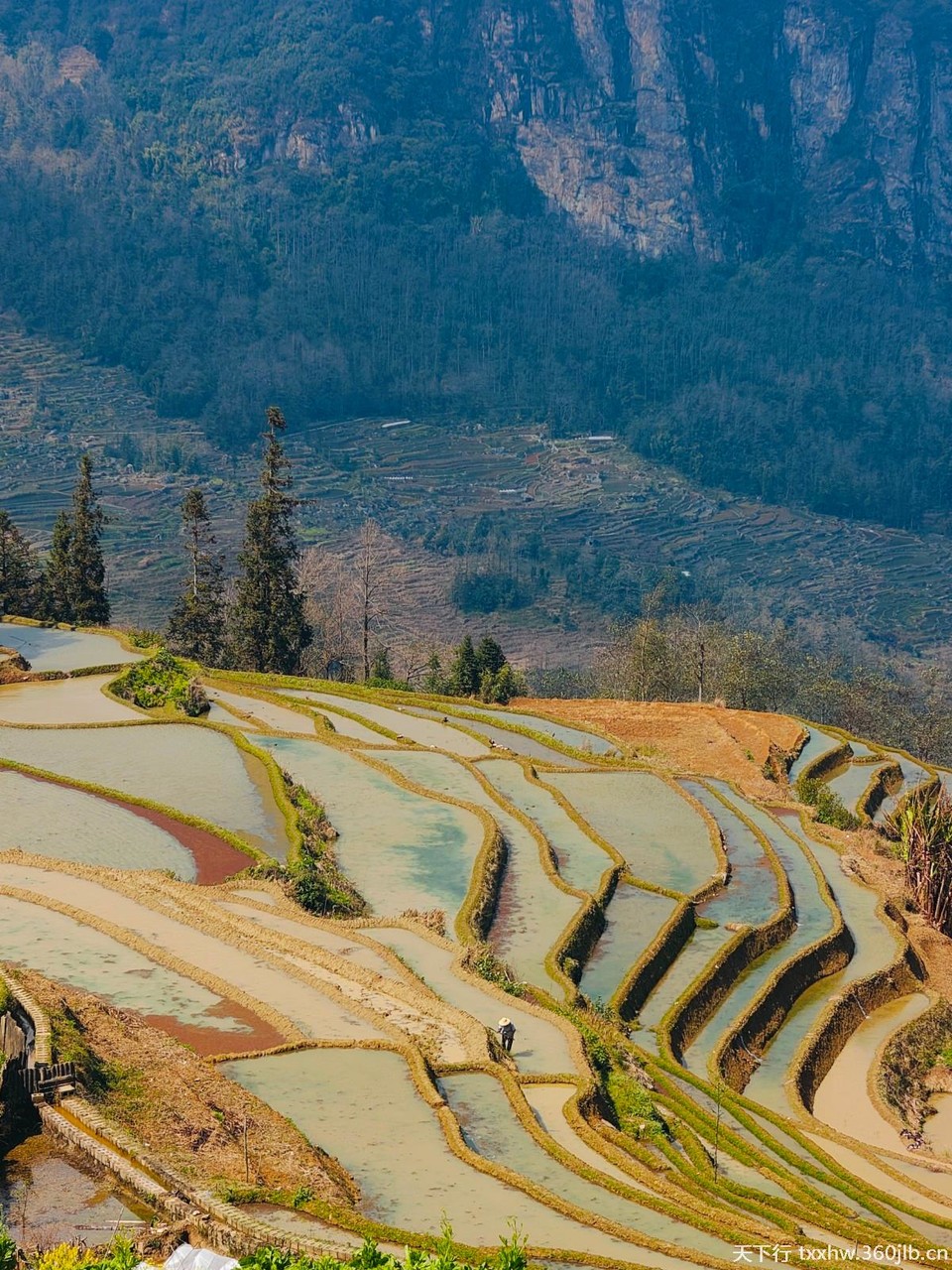 Image_120375155609911