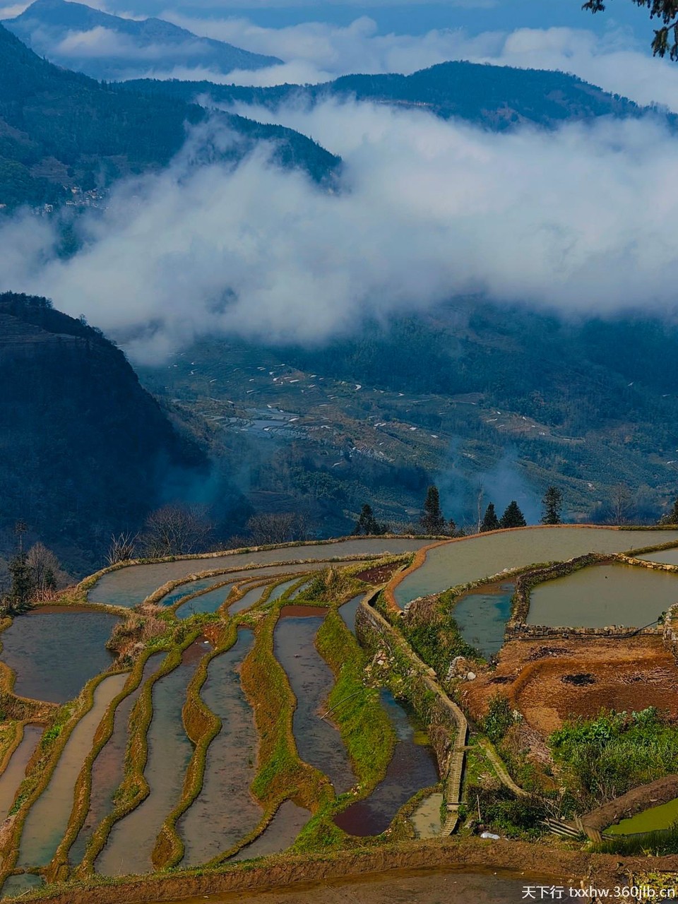 Image_120377535937619