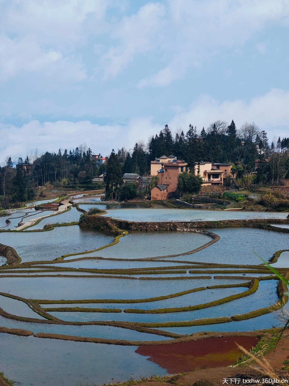 Image_120384555215793