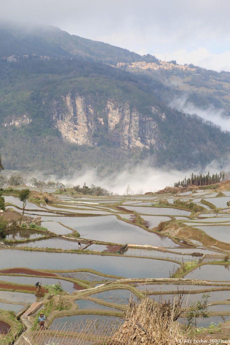 Image_120368317666164