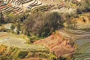 【2025滇东南丨元阳梯田】