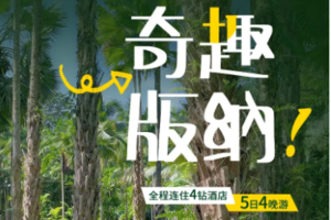 【西双版纳丨5日】每周六2-6人团 奇趣版纳集散 傣族风情 热带雨林穿越 丨连住4晚4钻酒店2999元