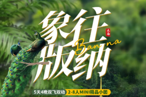 【象往版纳丨5天】每周六版纳集散 野象谷 大佛寺 中科院 雨林徒步 傣族村寨 曼听公园 湄公河夜2599元