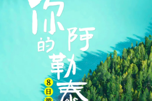 【北疆经典8日】28人团 你的阿勒泰 喀纳斯 禾木村 可可托海 天山天池 江布拉克 五彩滩 魔鬼城 18期