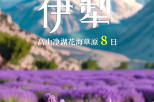 【醉美伊犁8日】28人团 赛里木湖VIP直通车 薰衣草 夏塔景区 喀拉峻草原 那拉提 库木塔格沙漠