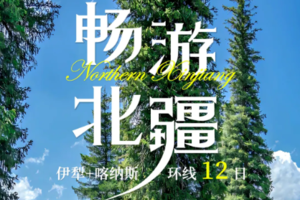 【全景北疆12日】28人团 天池 喀纳斯 禾木村 赛里木湖VIP景区直通车 薰衣草 喀拉峻草原 巴音布鲁克 库木塔格