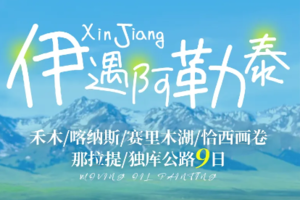 【阿勒泰9日】6人团丨畅游北疆丨禾木丨喀纳斯丨世界魔鬼城丨沙漠丨518前报名减300元