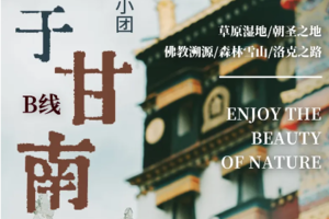 【小众甘南丨5日】2-5人团丨刘家峡水库丨洛克之路丨扎尕那丨小独库公路丨花湖丨518前报名减200元