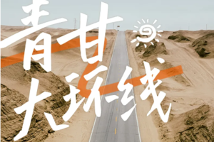 【青甘环线丨9日】2-8人团丨大漠丨戈壁丨石窟丨雅丹丨丹霞丨雪山丨湖泊丨草原丨花海丨盐湖丨518前报名减300元