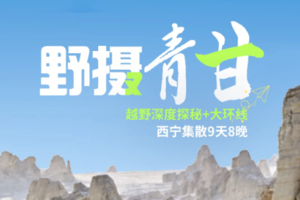 【野奢青甘丨9日】2-4人越野团 天峻石林 哈拉湖 察尔汗 水上雅丹 西台 俄博梁  黑独山 莫高窟 鸣沙山 张掖丹霞 