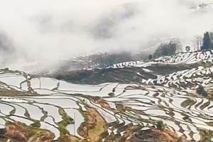 【2025滇东南丨多依树梯田】