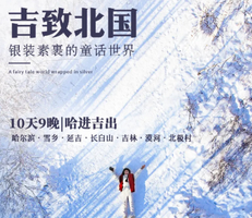 【吉致北国丨10天】2.4-14号 哈尔滨 漠河 北极村 雪乡 延吉 长白山 哈进吉出丨晴尔独立团丨7399元